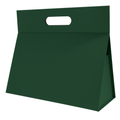 Sacolas Premium com Fecho Magnético– Luxo e Sustentabilidade
